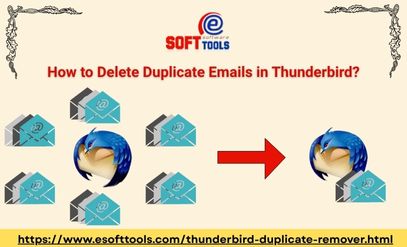 delete duplicate emails in Thunderbird